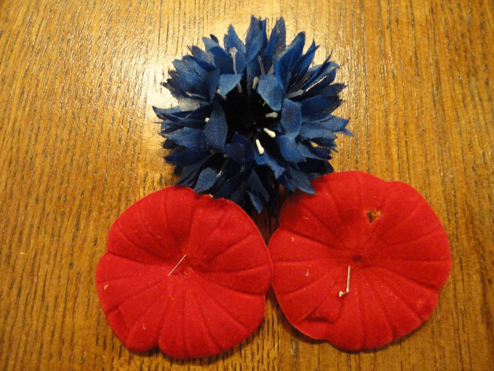 Canadian Poppies, French cornflower. Paris, 11 novembre