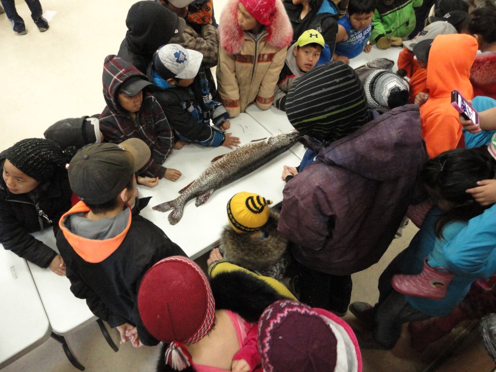 Is this the biggest fish?