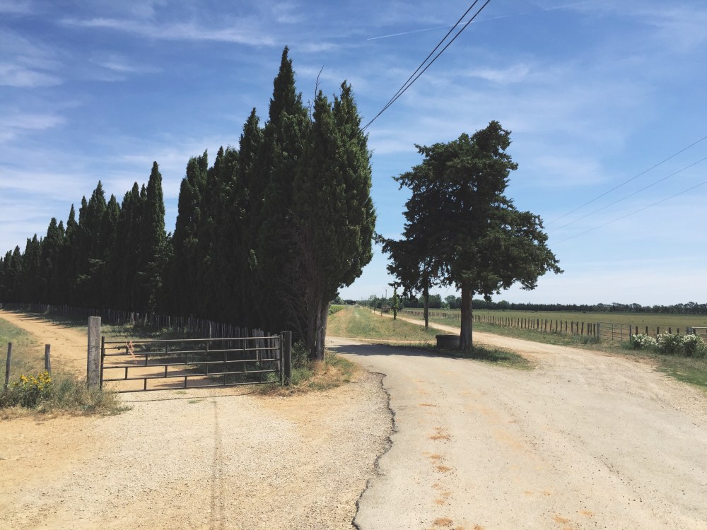 Countryside, Vauvert, France