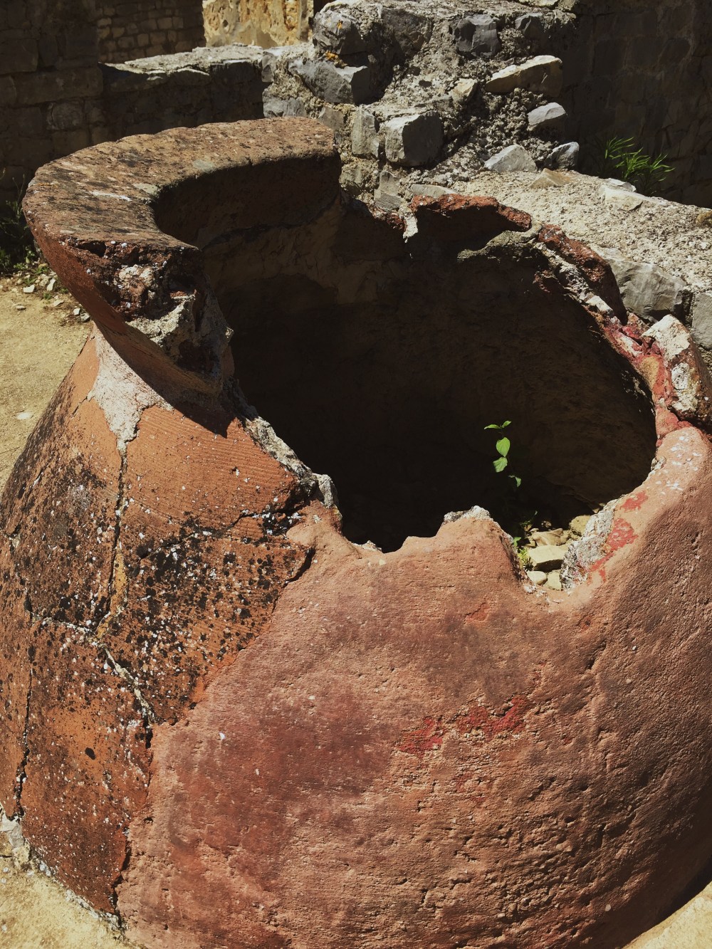 Roman ruins in Vaison-la-Romaine