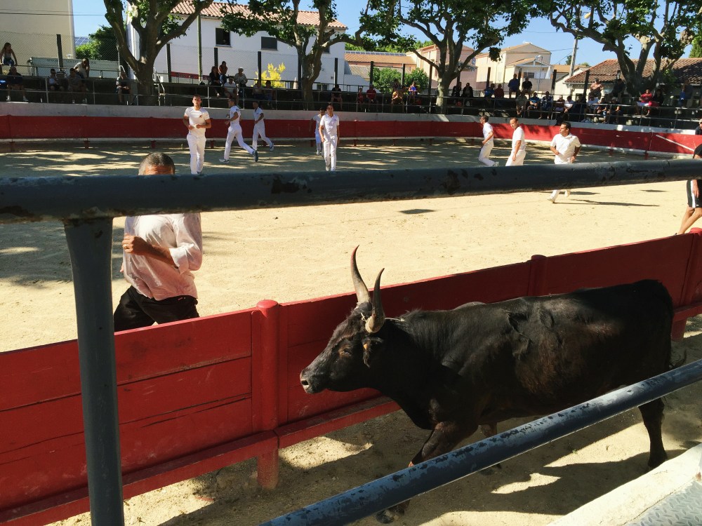 Jonquières-Saint-Vincent, France