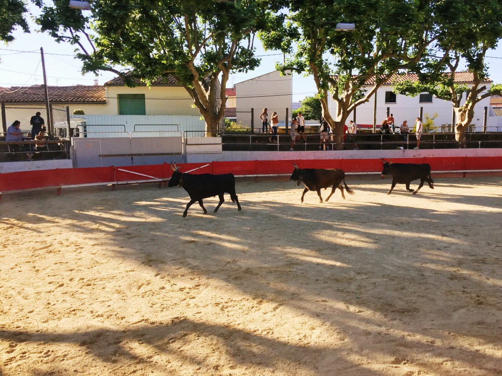 Les Simbéus, Jonquières-Saint-Vincent