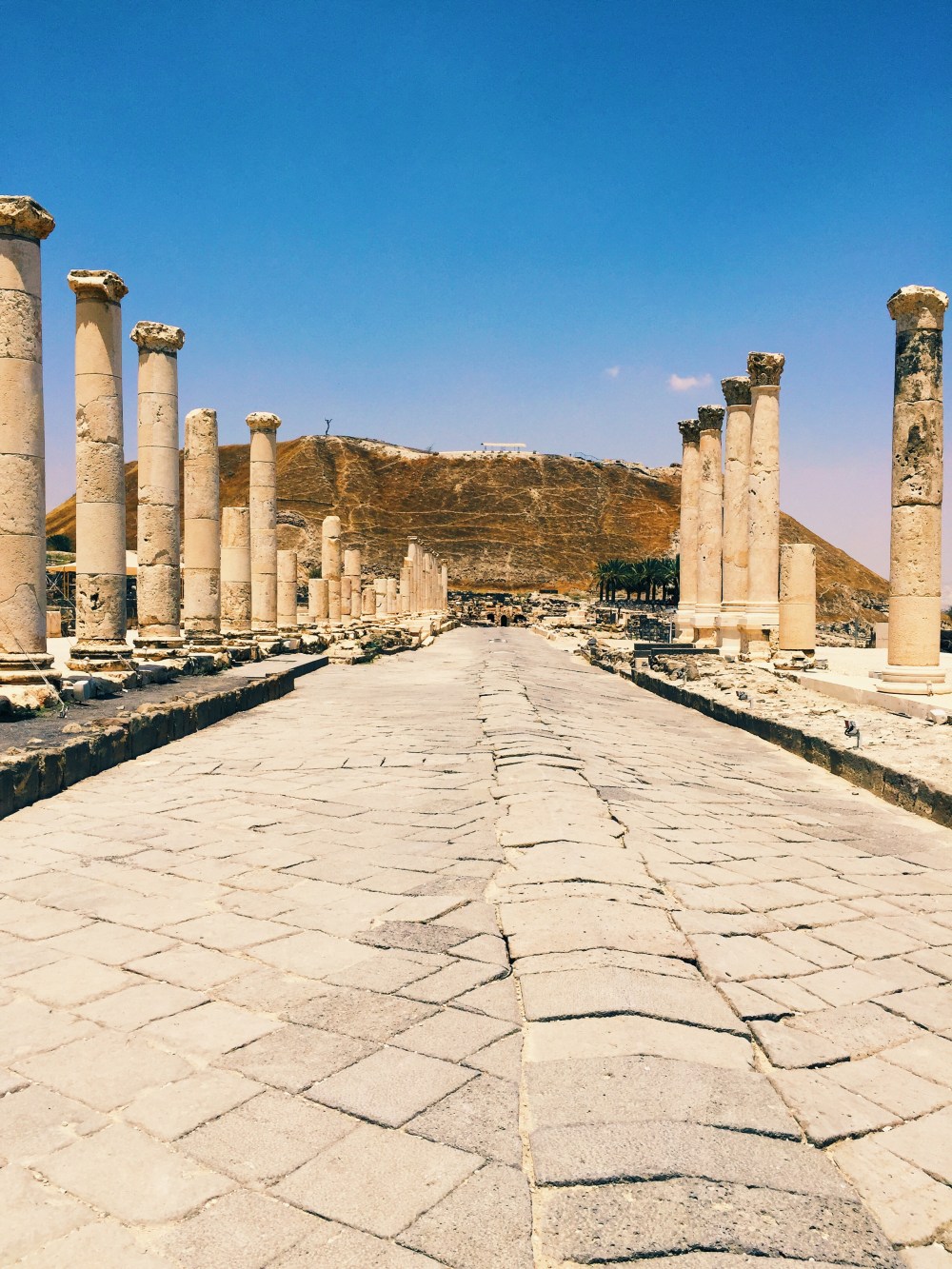 Processed with VSCO with g2 preset