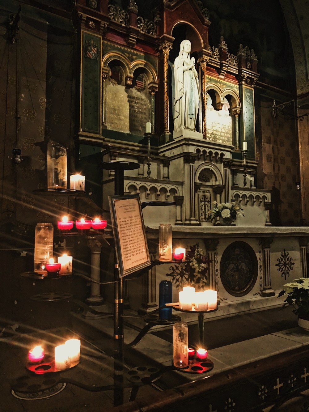 c748172f-981b-4f97-bda6-ae000c5d6a91