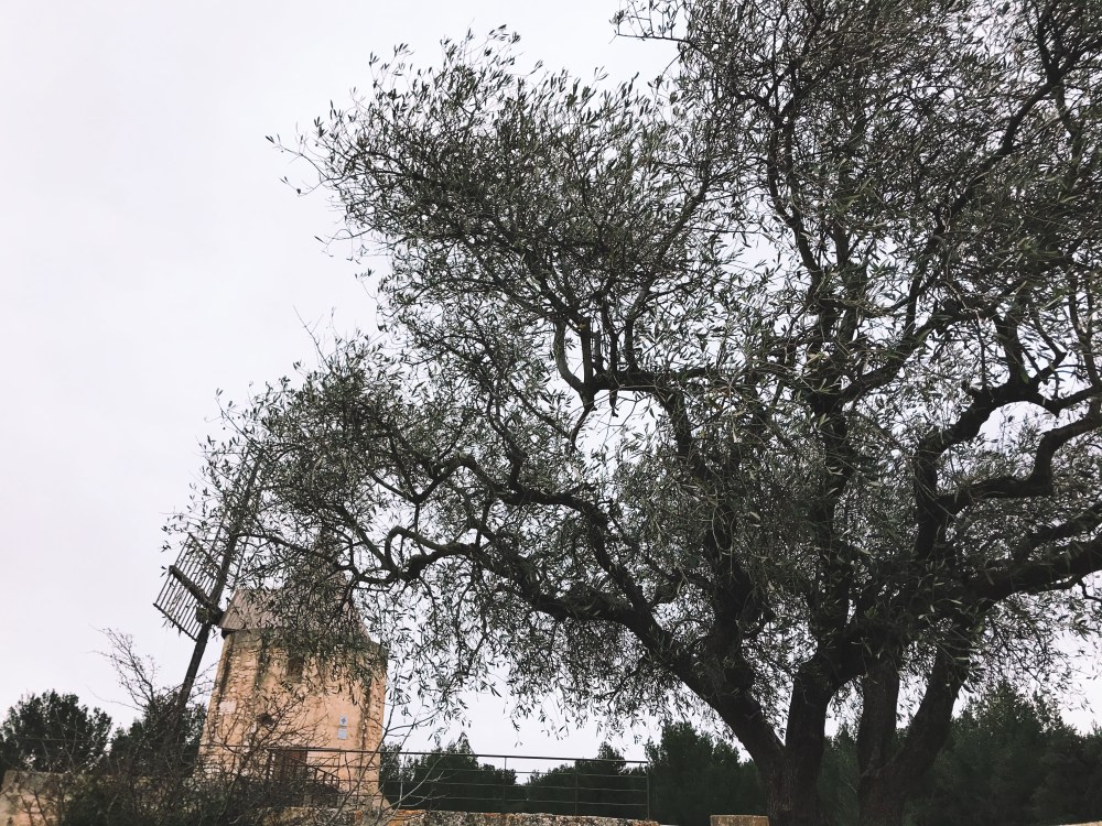 Processed with VSCO with k2 preset