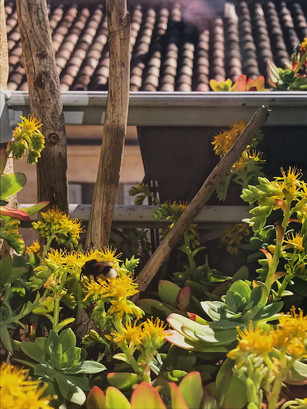 aa019c22-816a-405f-ad68-c3b00dd383be